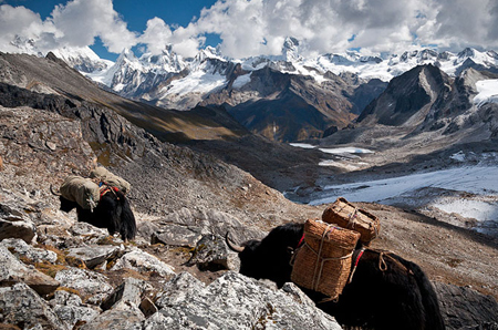 Trekking in Bhutan