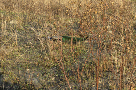 Chitwan Jungle Safari 